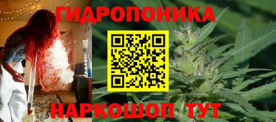 apvp Ярославль