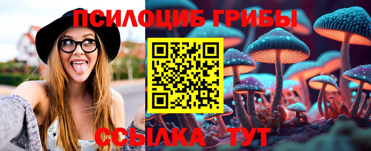 Белая Калитва  Галлюциногенные грибы Cubensis  Вход с VPN 